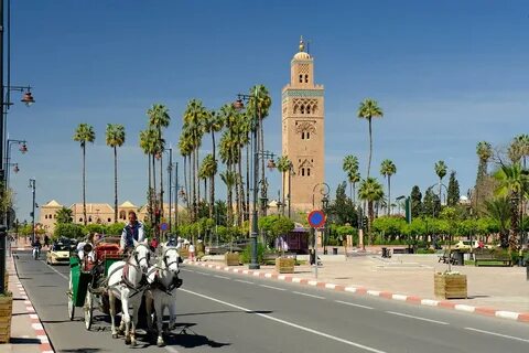 برامج سياحة في تركيا: اكتشف أفضل الجولات والفعاليات السياحية