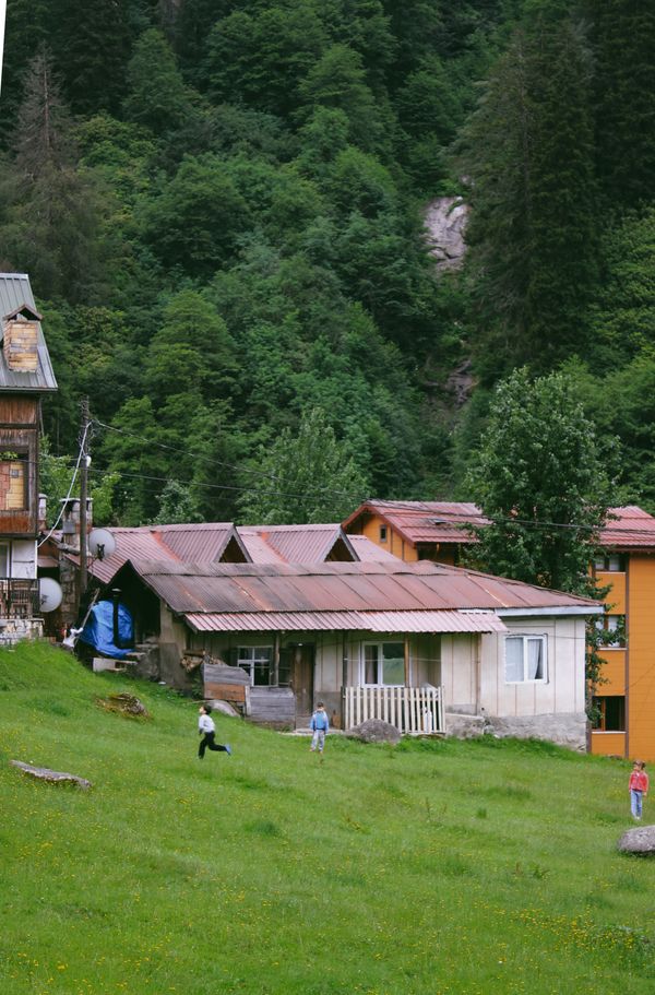 luxury cottages borjomi